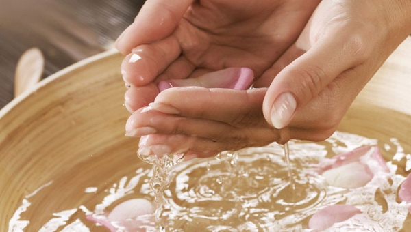 Gut Health 101: Transform Your Well-being with Colonic Hydrotherapy